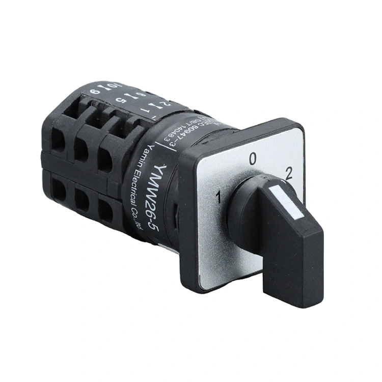 Interruttore a camma a tre posizioni da 10 A