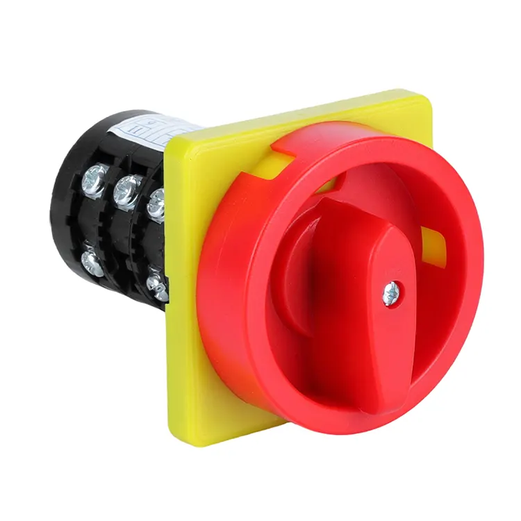 Interruttore a camma rotante con combinazione a due posizioni con lucchetto da 20 A