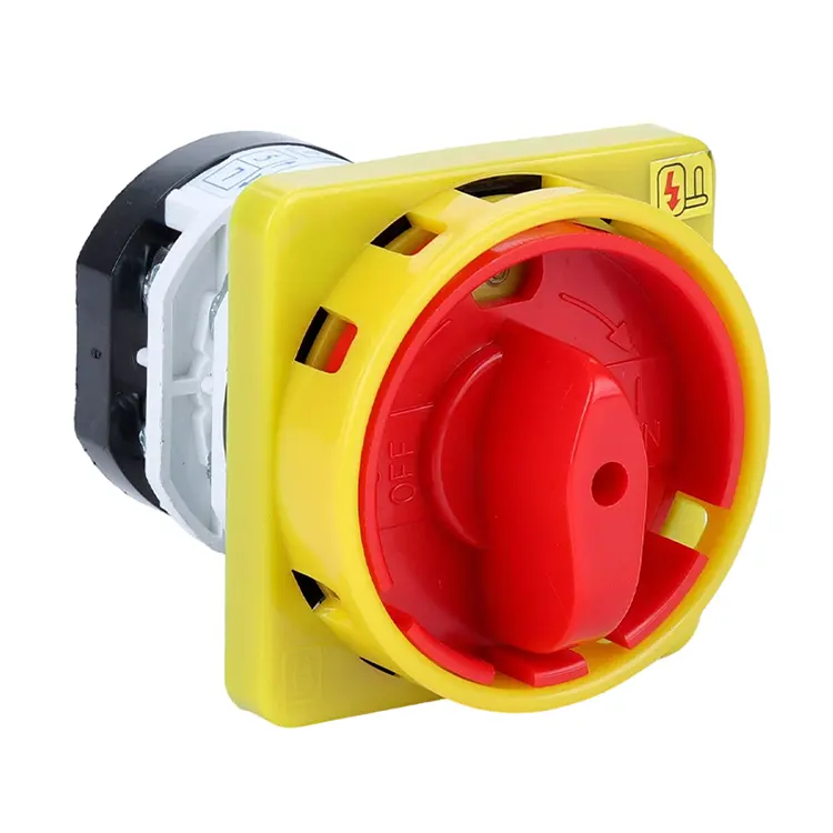 Lucchetto OFF-ON a due posizioni con interruttore a camma combinato da 32A